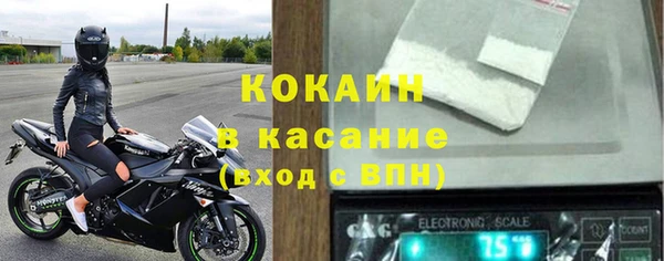 хмурый Гусь-Хрустальный