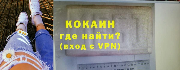 прущие грибы Михайлов