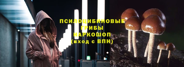 гидропоника Михайловка