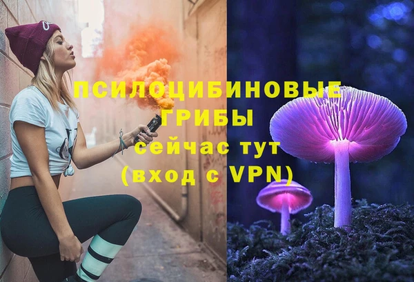 прущие грибы Михайлов