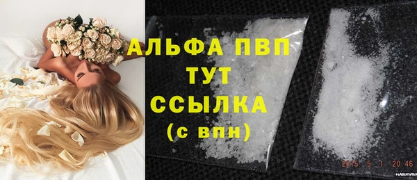 хмурый Гусь-Хрустальный