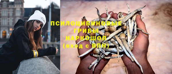 хмурый Гусь-Хрустальный