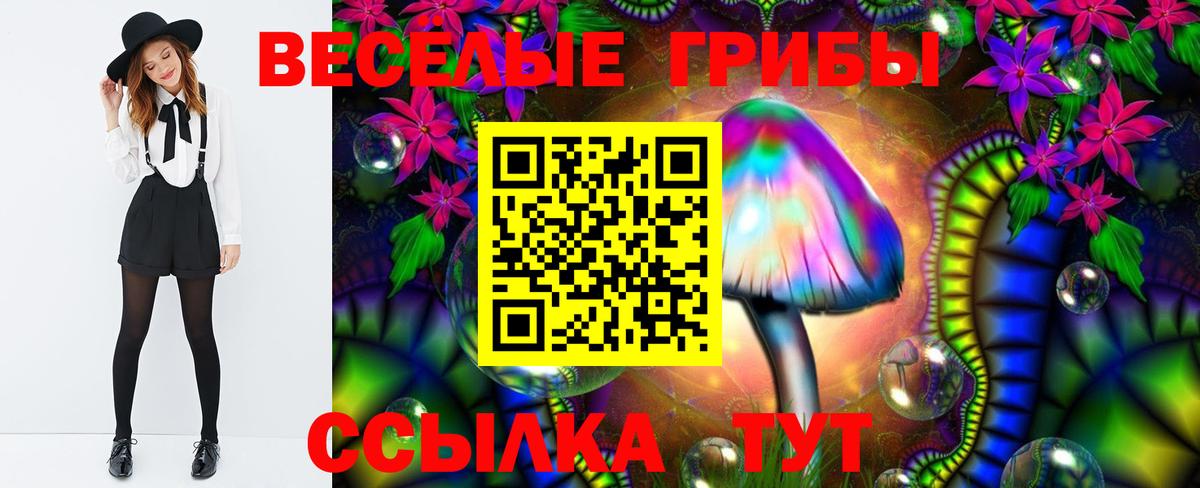 Галлюциногенные грибы Psilocybine cubensis  Вход с VPN  Дедовск 